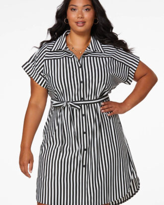 Striped Shirt Dress