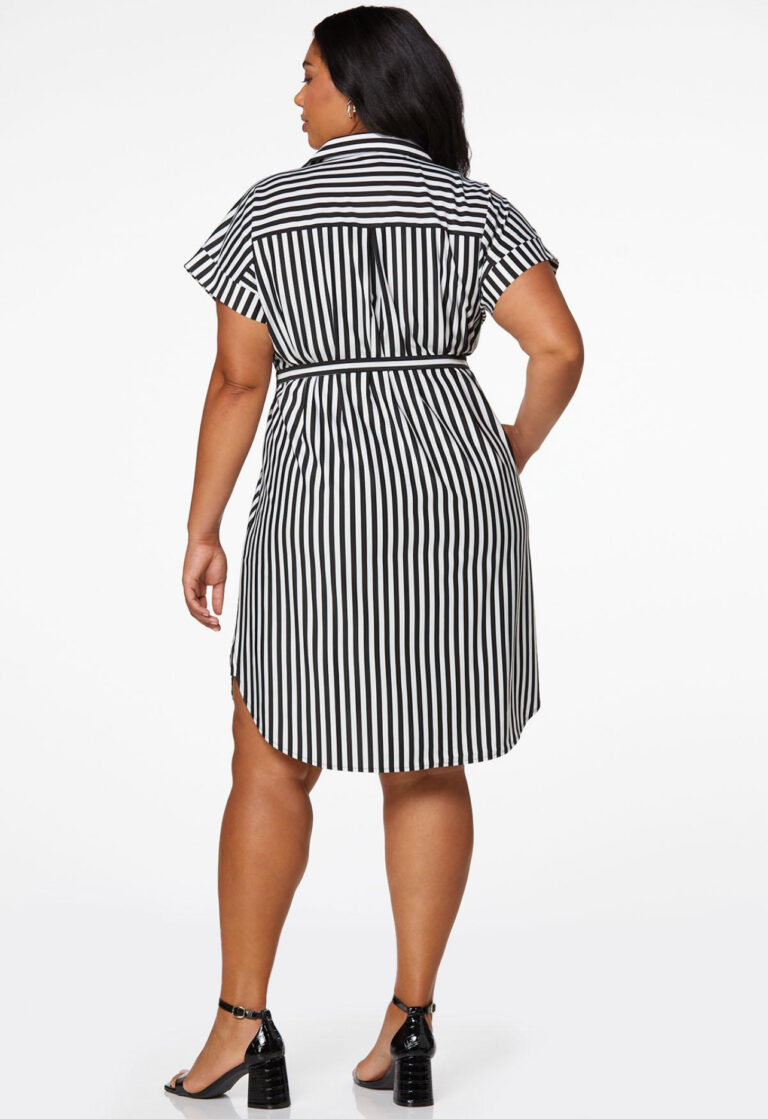 Striped Shirt Dress