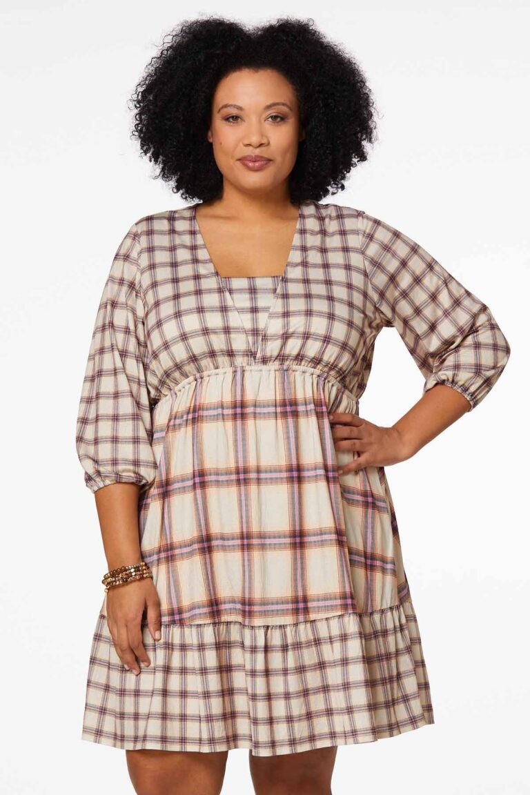 Brown Check Swing Dress from LC and Cheeks Plus Size Store