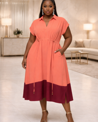 Colour Block Shirt dress - Plus size dresses at LC and Cheeks